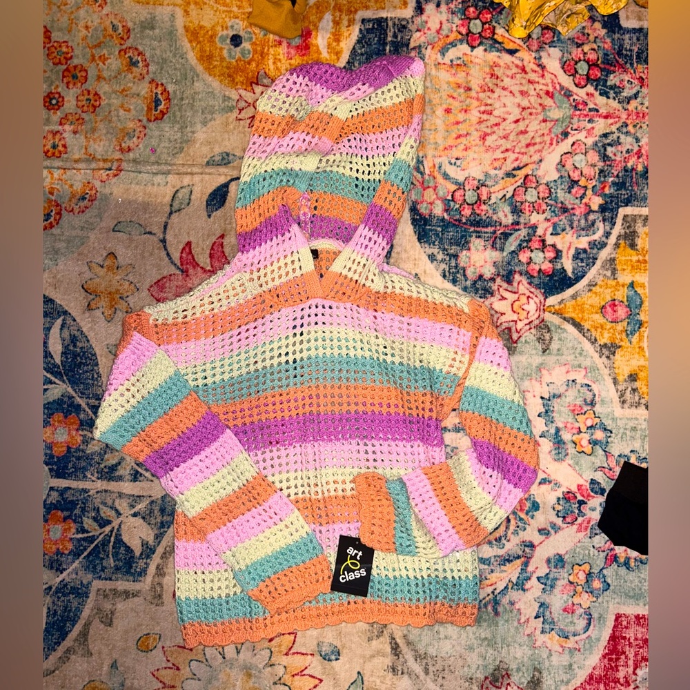 Art Class Crocheted Hoodie